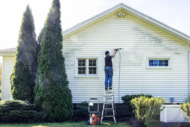 Best Pressure Washing Driveway  in Barre, VT